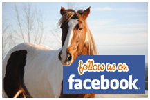 Follow us on Facebook